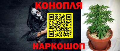 ГАЛЛЮЦИНОГЕННЫЕ ГРИБЫ Абинск