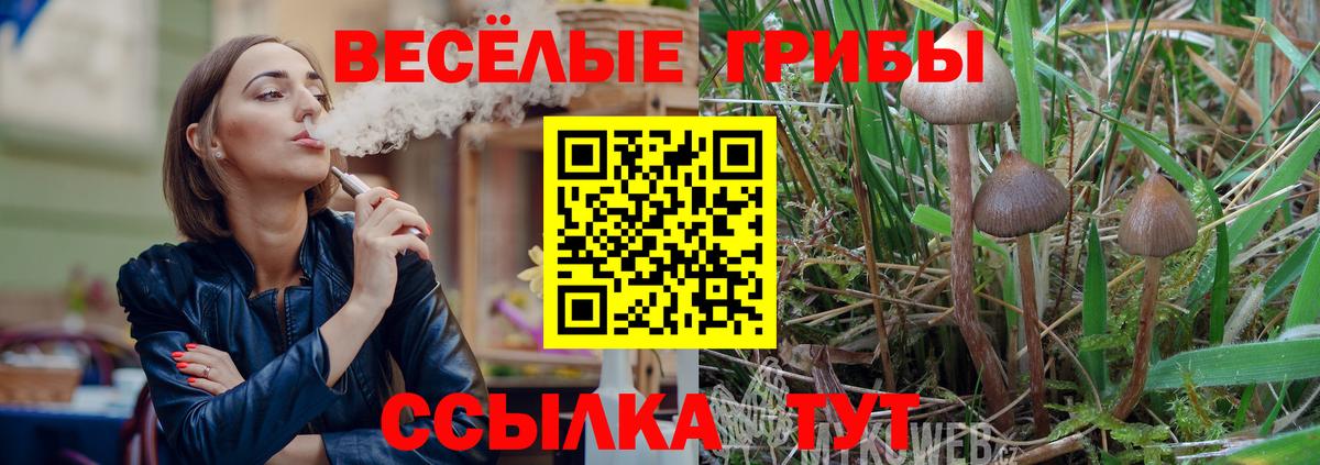 Псилоцибиновые грибы MAGIC MUSHROOMS Алушта