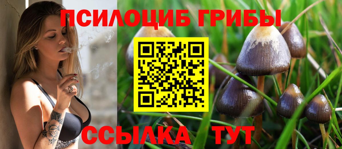 Галлюциногенные грибы прущие грибы  Псилоцибиновые грибы Cubensis  Вход с VPN  Алушта 
